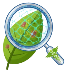 Plant Disease Detection